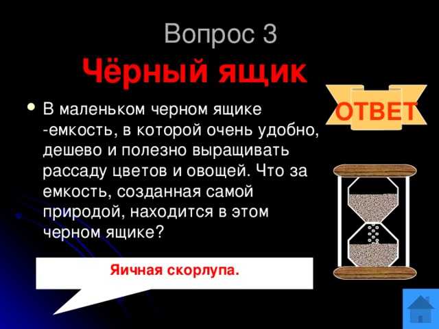 Лучшие вопросы «что? где? когда?»