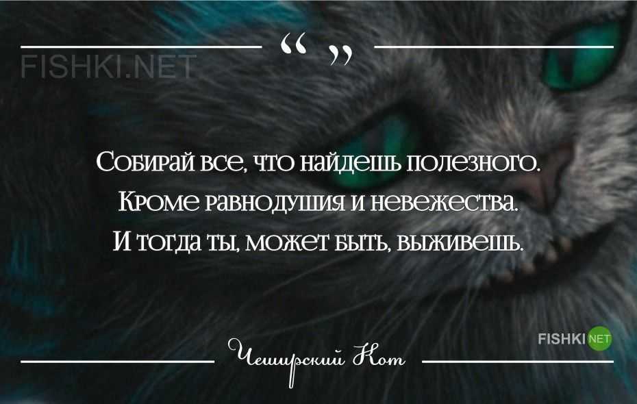 33 удивительных цитаты из книги льюиса кэрролла "алиса в стране чудес" - интересная жизнь