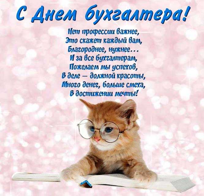 Прикольные поздравления с днем бухгалтера в стихах