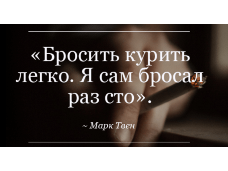 305 фраз и цитат про книги: список коротких, крксивых афоризмов, высказываний, изречений о книге со смыслом