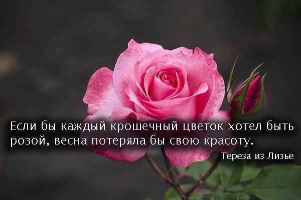 Лучшие цитаты про жизнь со смыслом: 100+ лучших цитат