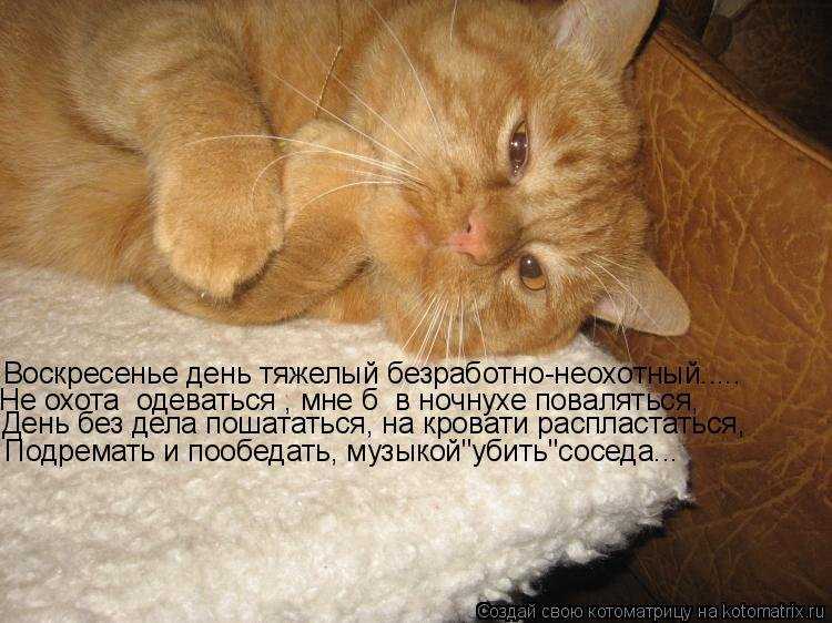 Пожелания на воскресенье в стихах и прозе