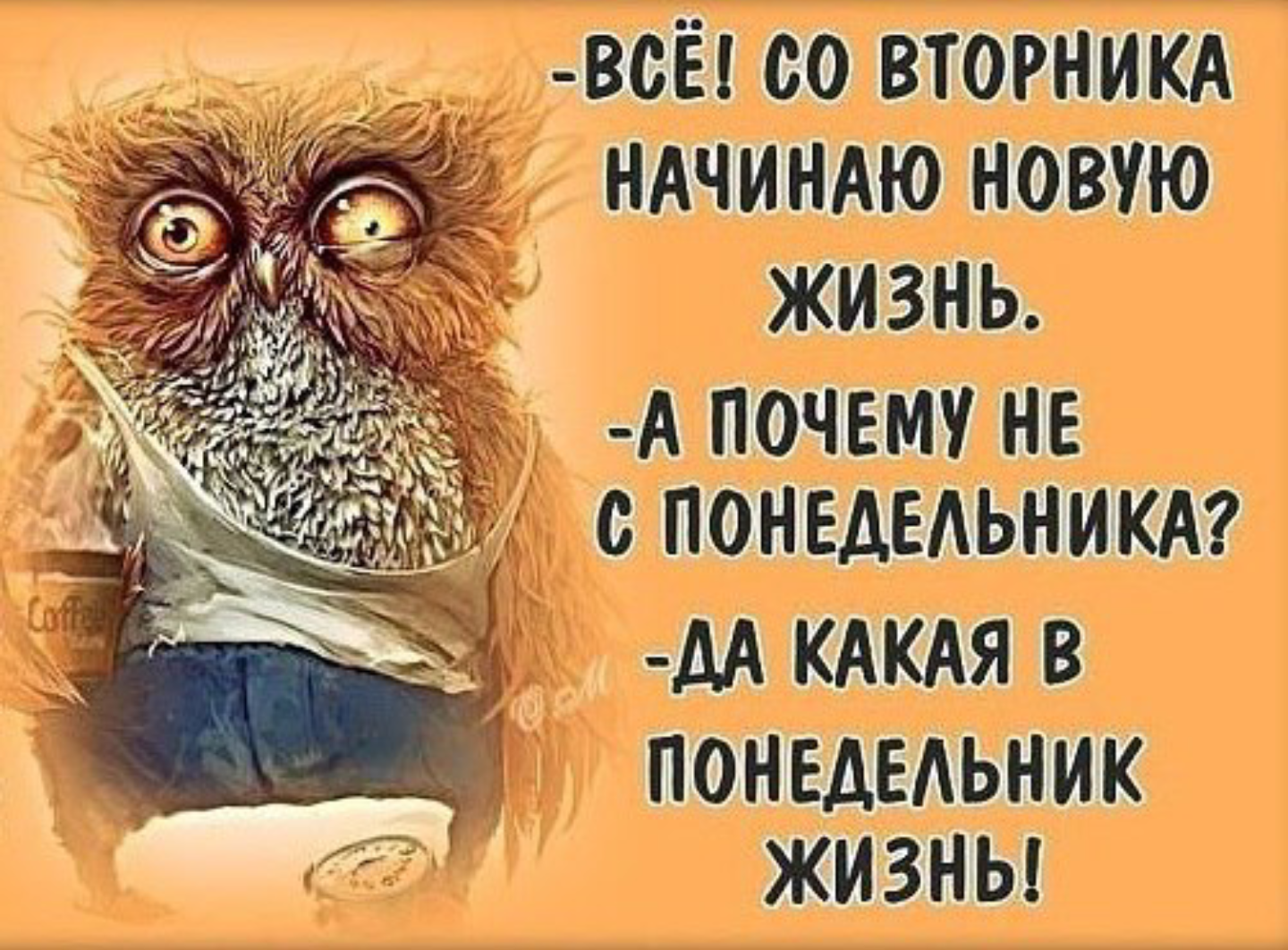 305 фраз и цитат про книги: список коротких, крксивых афоризмов, высказываний, изречений о книге со смыслом