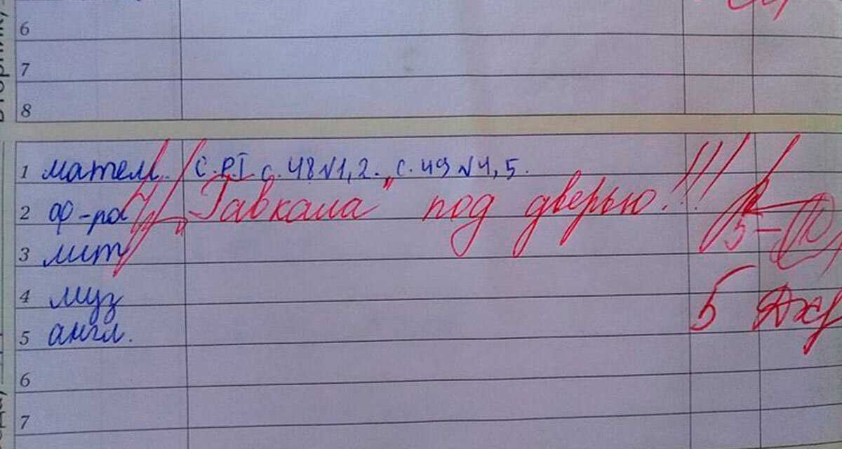 Смешные записи в дневниках и тетрадях — что пишут учителя нашим детям