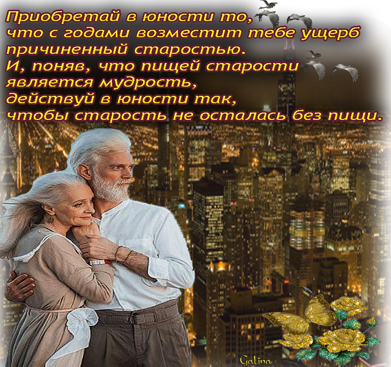 50 лучших цитат о книгах