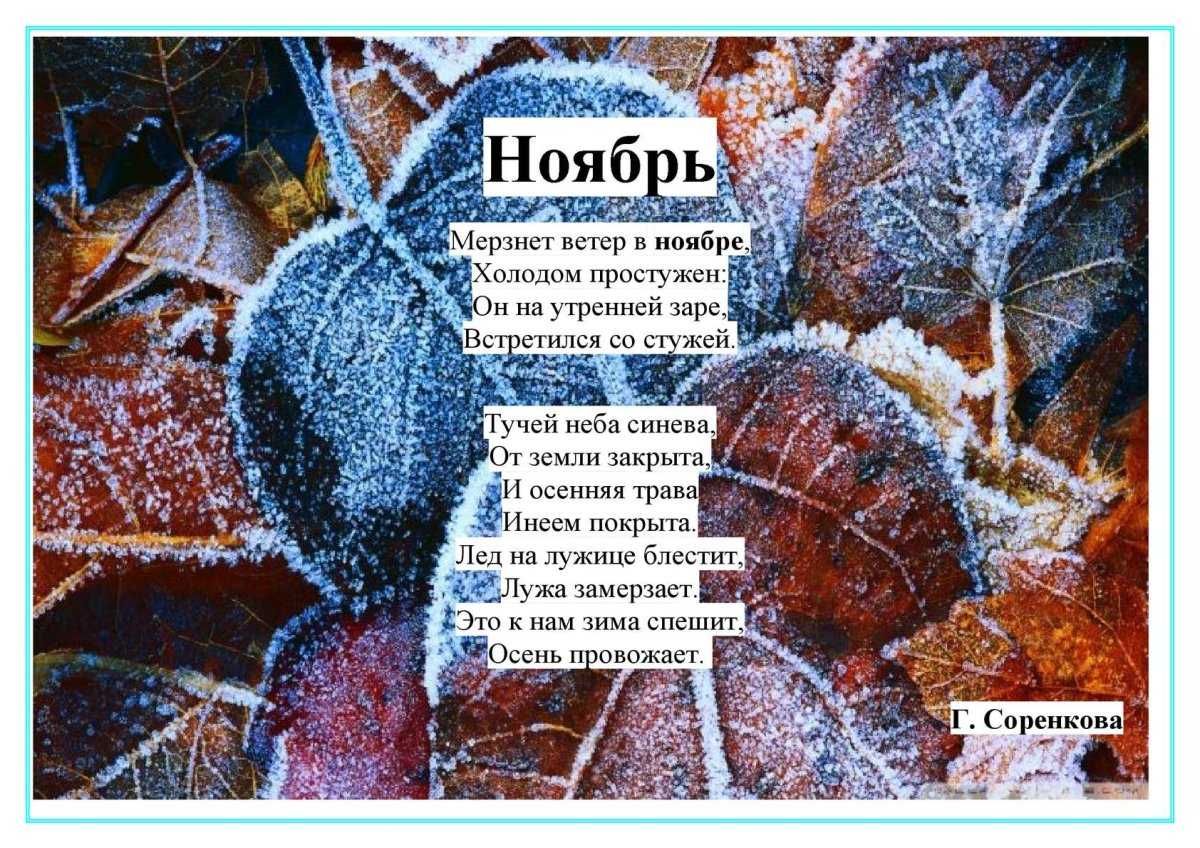 Красивые статусы и цитаты про ноябрь