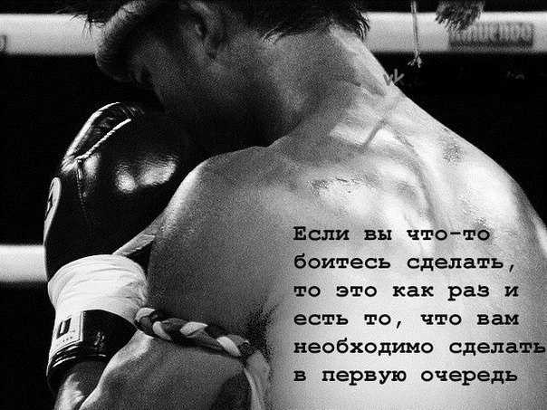Афоризмы и цитаты о боксе