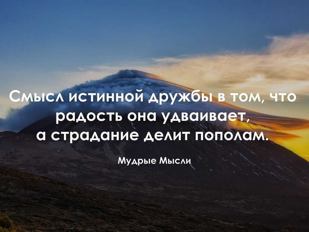 Цитаты, афоризмы о дружбе и верных друзьях, которые придут на помощь в трудную минуту Цитаты про друзей для инстаграма и не только