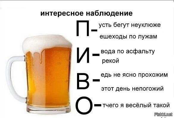 Прикольные фразы про пиво и рыбу. статусы про пиво прикольные