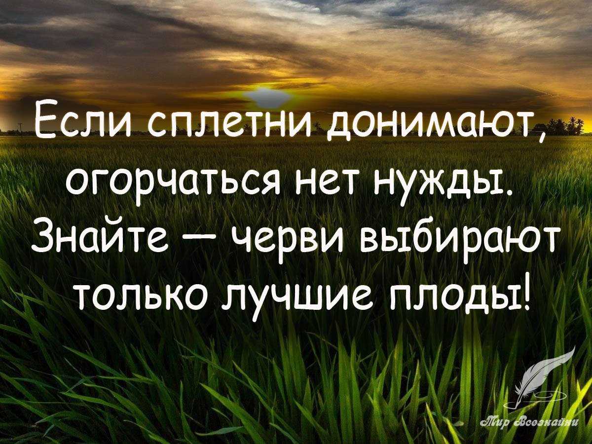 Пословицы про мышей и крыс на новый год 2020 | пословицы для детей