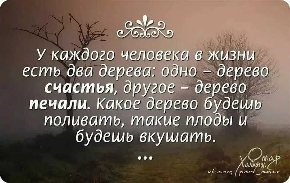 Цитаты про счастье со смыслом: 106 коротких и красивых цитат