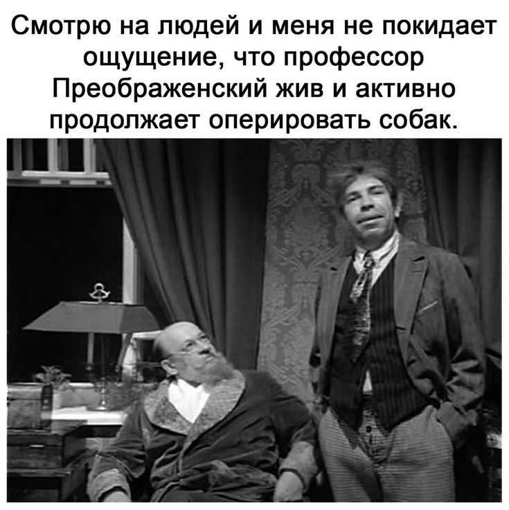 Шедевральные цитаты из фильма «собачье сердце»!