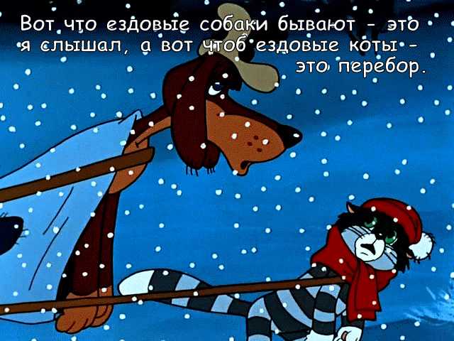 Цитаты из мультфильма простоквашино