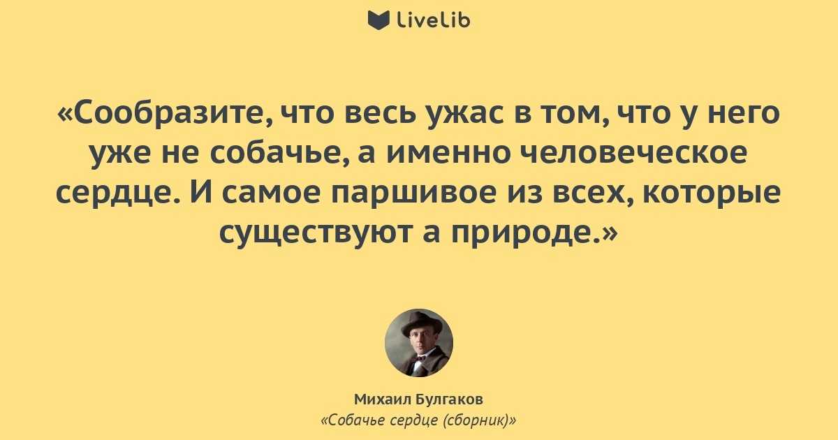 15 цитат из «собачьего сердца» михаила булгакова