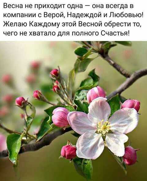 Лучшие цитаты про жизнь со смыслом: 100+ лучших цитат