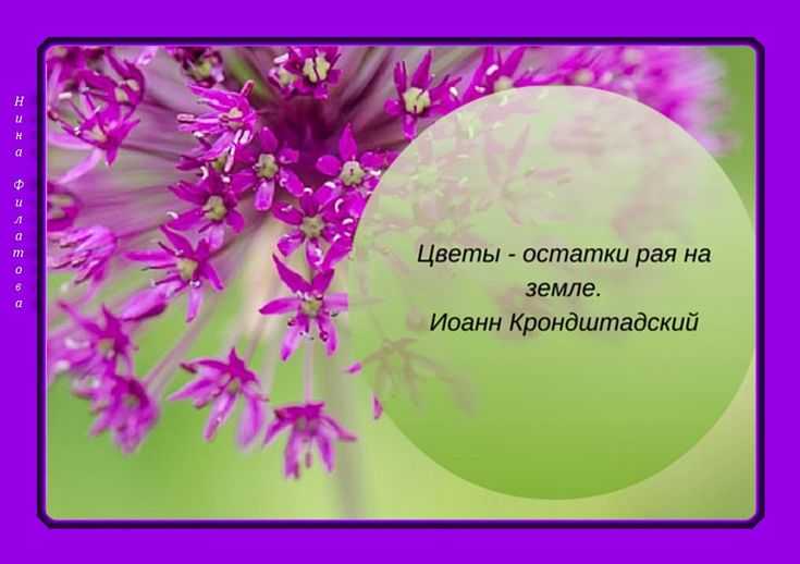 78 самых мудрых и глубоких цитат всех времен