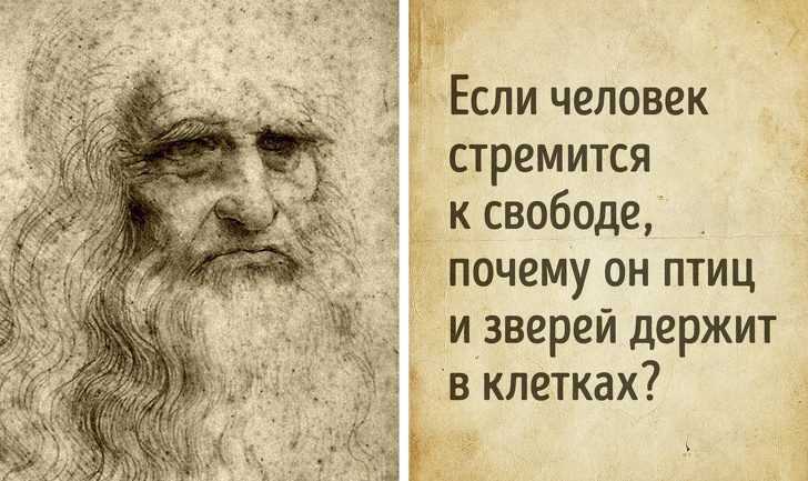 Краткая биография леонардо да винчи, главные и интересные факты о творчестве