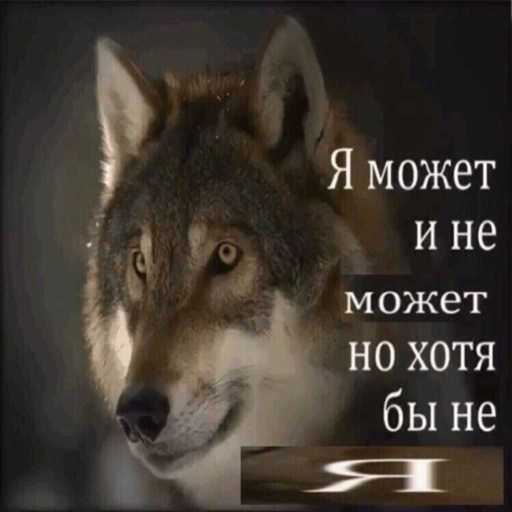 Афоризмы. сборник афоризмов по категориям и темам.