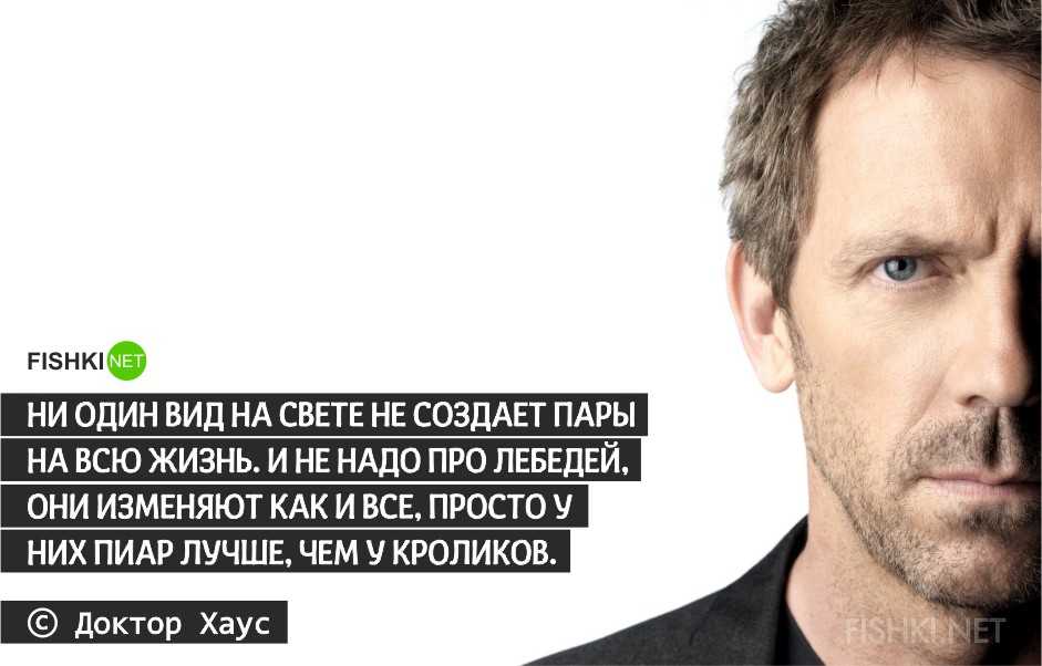 90 лучших фраз (и цитат) из сериала «во все тяжкие»