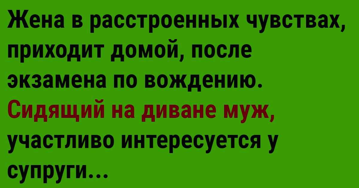 Приколы про начинающих водителей — жизненные статусы