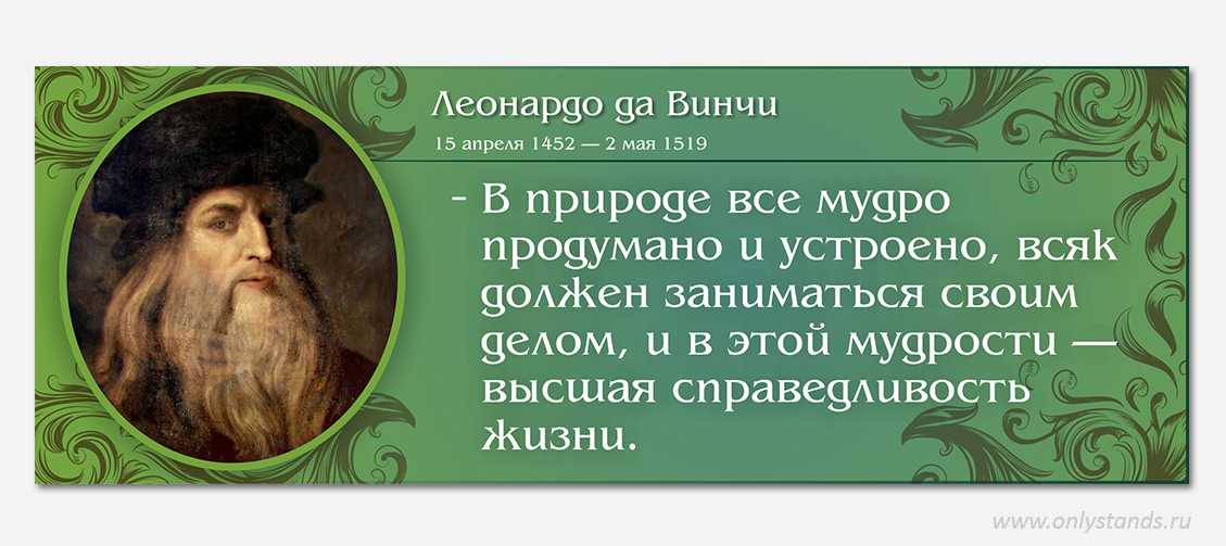 Леонардо да винчи: жизнь и творчество художника