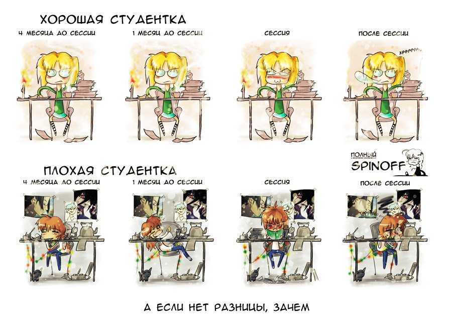 Прикольные статусы про сессию