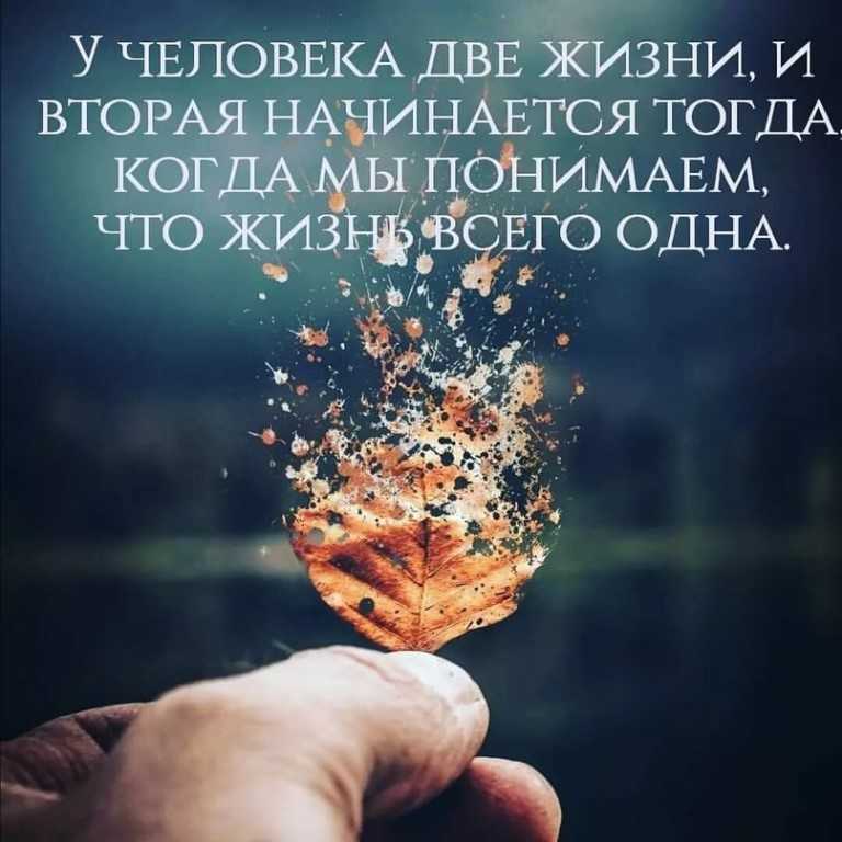 Цитаты на тему мудрость Подборка цитат со смыслом из книг, фильмов, песен и сериалов, афоризмы великих людей Вдохновляйтесь цитатами, добавляйте их в статус и под фото, делитесь с друзьями