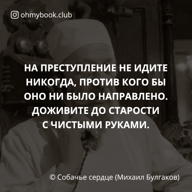 Высказывание шарикова собачье сердце. Цитаты из собачьего сердца. Знаменитые цитаты из собачьего сердца. Фразы из собачьего сердца. Собачье сердце цитаты.