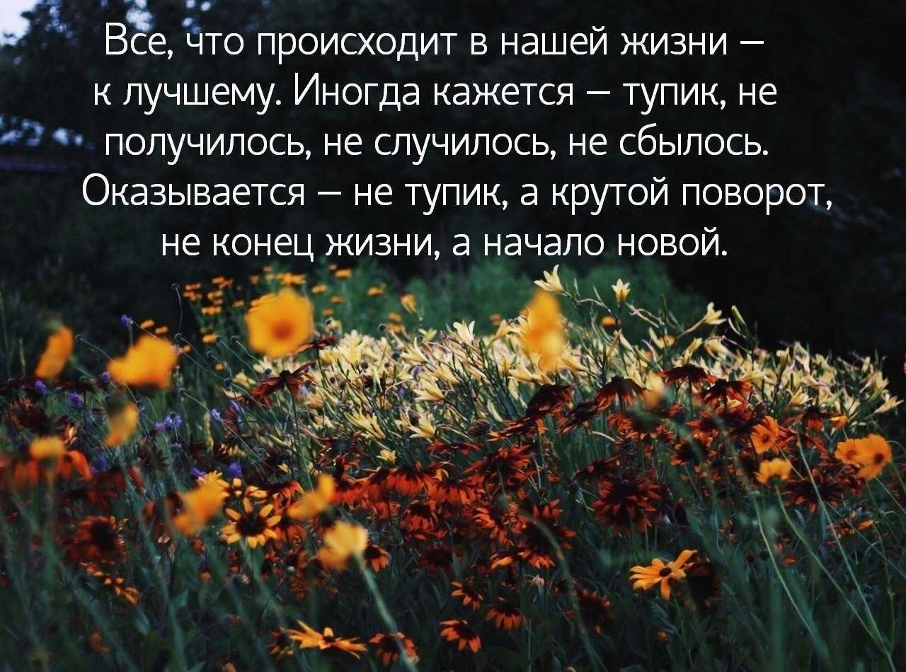 Цитаты на тему карма Подборка цитат со смыслом из книг, фильмов, песен и сериалов, афоризмы великих людей Вдохновляйтесь цитатами, добавляйте их в статус и под фото, делитесь с друзьями