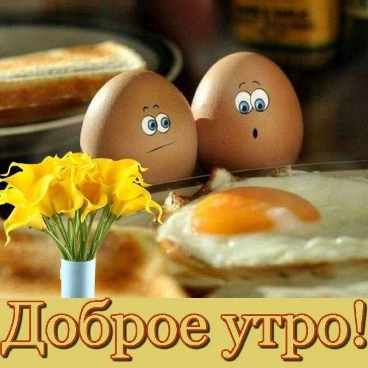 Смешные картинки с добрым утром