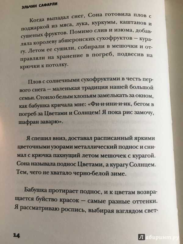 Любовь — это начало всего. цитаты эльчина сафарли