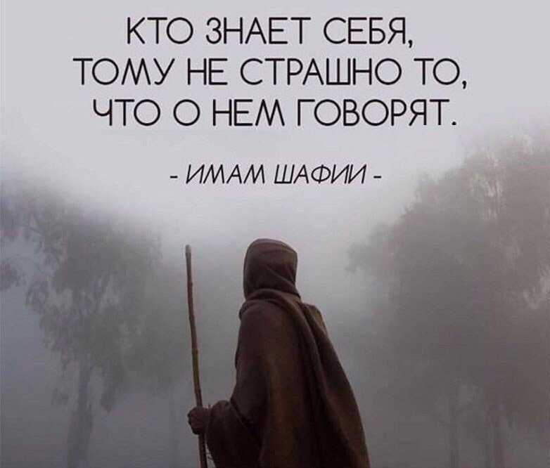 Цитаты про правду и ложь
