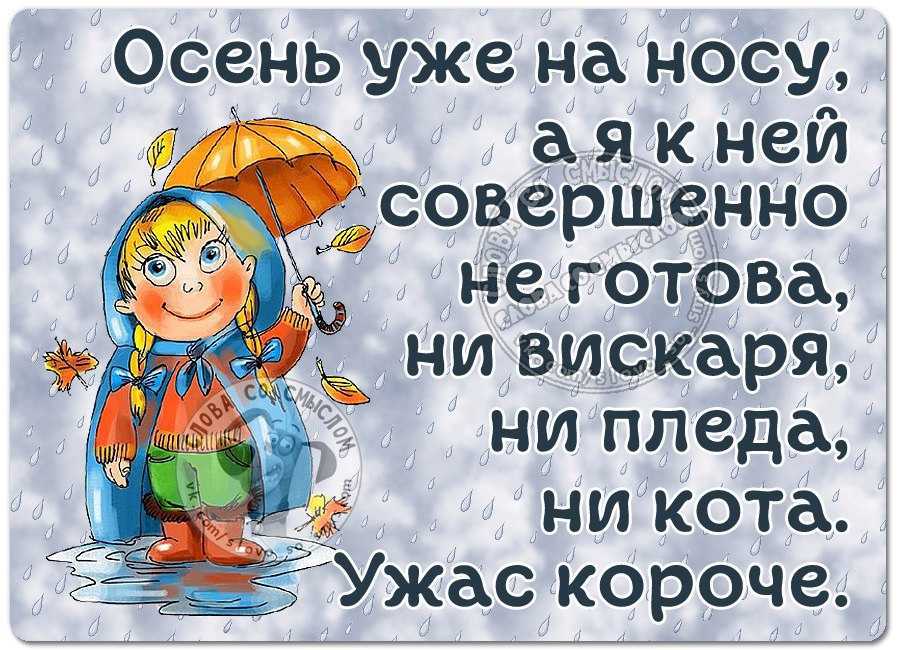 Самые красивые и необычные статусы про ноябрь