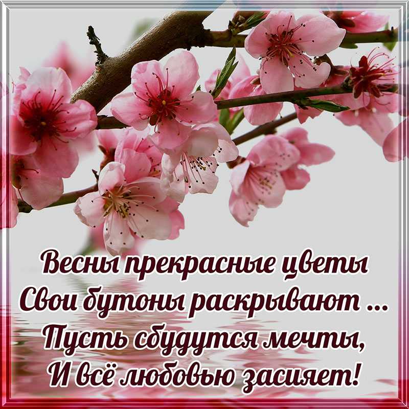 Цитаты из книг про весну и любовь