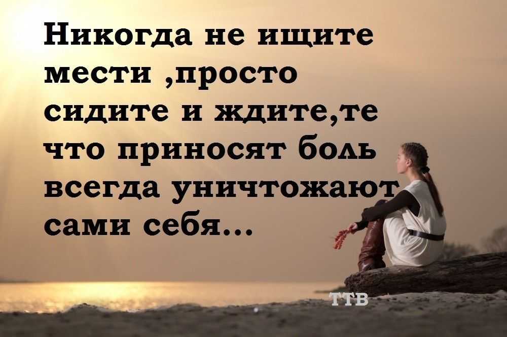 «месть и великодушие»: цитаты для итогового сочинения / блог :: бингоскул