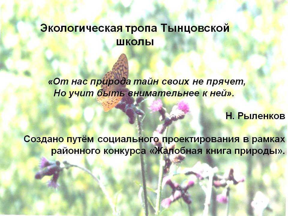 10 песен о защите окружающего мира | 365mag.ru