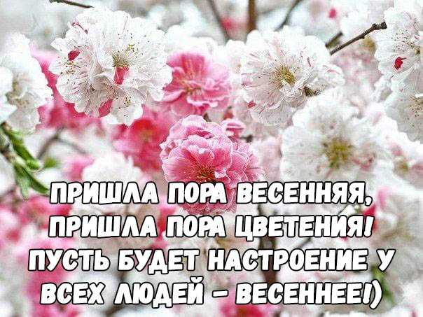 Цитаты про весну | лучшие высказывания и афоризмы про весну