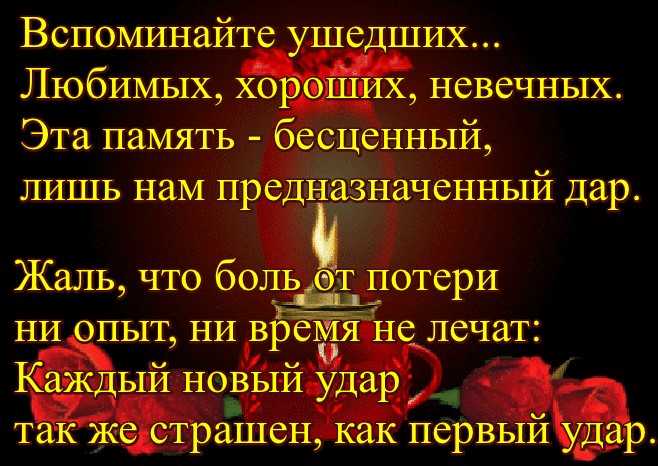 50 лучших цитат о книгах