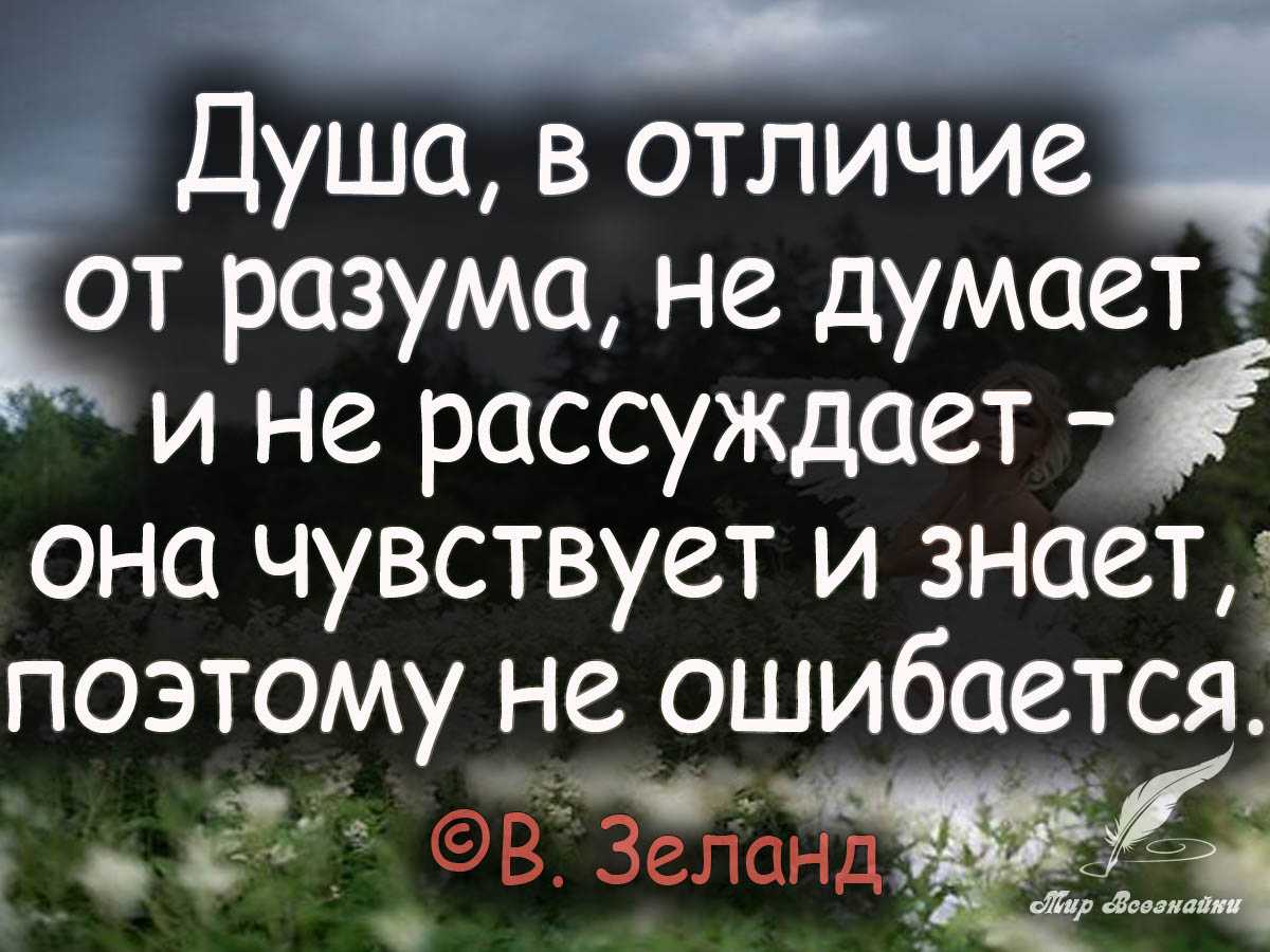 50 лучших цитат про тень из книг и фильмов