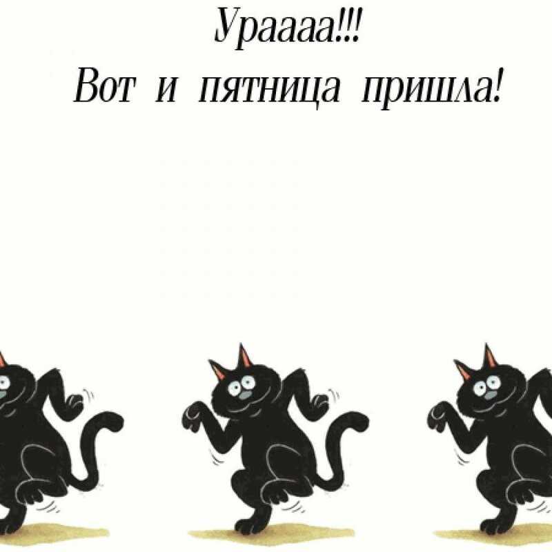 Пятница ― цитаты и статусы прикольные и смешные