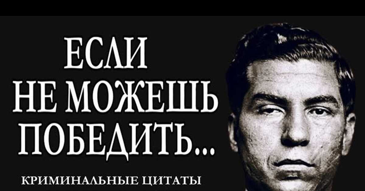 Цитаты на тему криминал Подборка цитат со смыслом из книг, фильмов, песен и сериалов, афоризмы великих людей Вдохновляйтесь цитатами, добавляйте их в статус и под фото, делитесь с друзьями