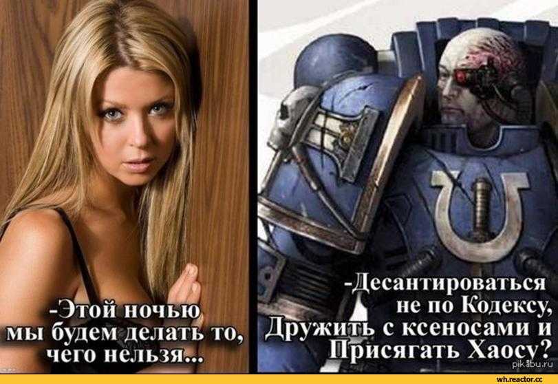 Warhammer 40,000 lost crusade — бесплатные коды (март 2023 г.) - gmodx.ru