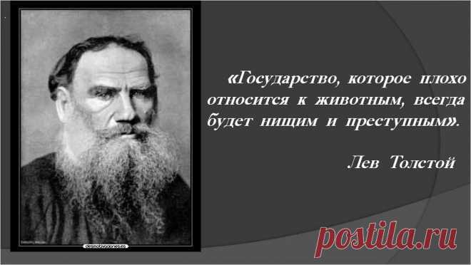 Цитаты про конфликты в семье