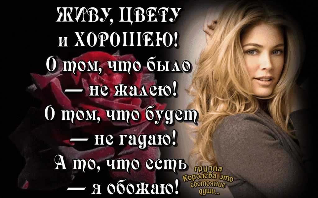 Прикольные статусы, с приколом статусы