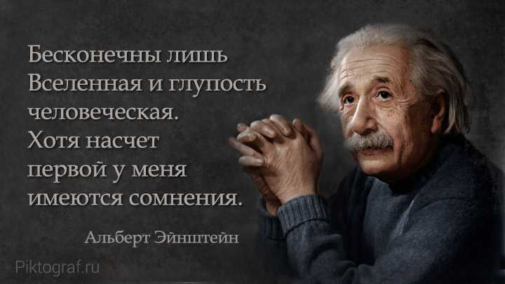 Статусы про тупых людей