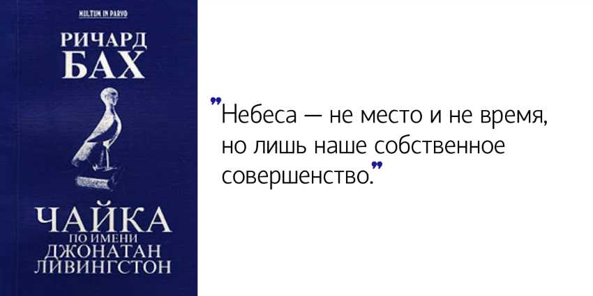 В чем смысл книги «чайка по имени джонатан ливингстон» или как животное смогло получить личность по своему желанию