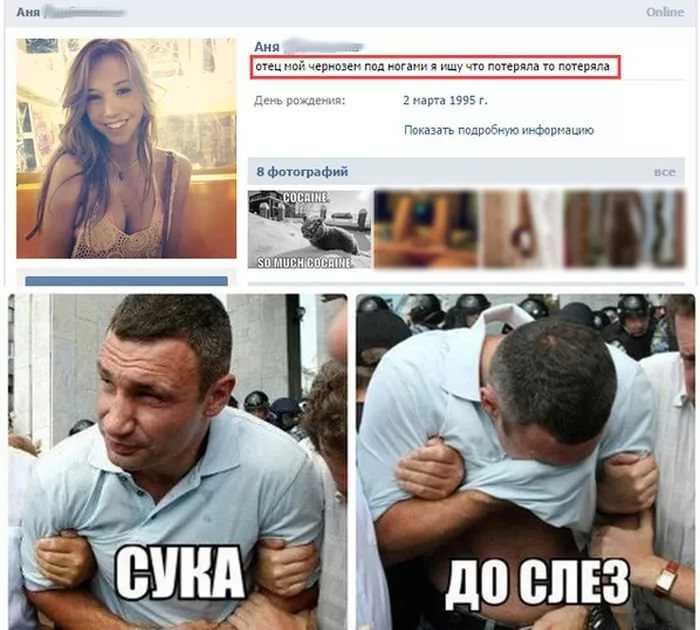 Прикольные картинки - 600+ смешных фото приколов для настроения