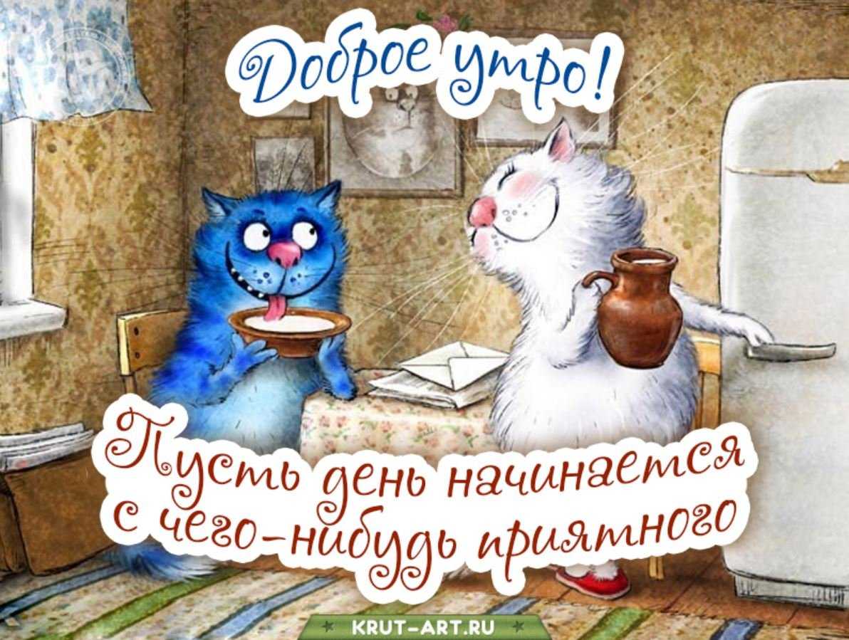 Смешные картинки с добрым утром