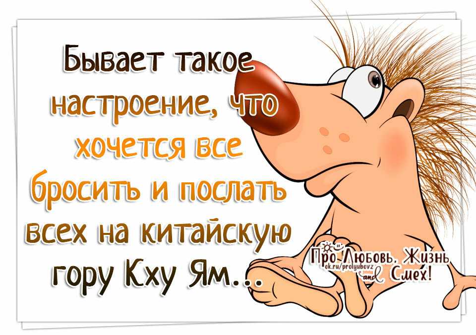 Короткие ржачные фразы, от которых появятся слезы на глазах