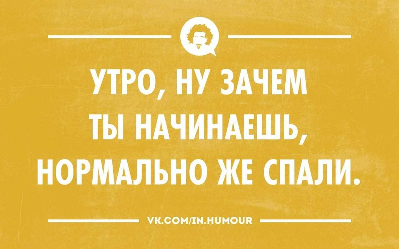 Смешные афоризмы и высказывания про день рождения. самые прикольные статусы про день рождения